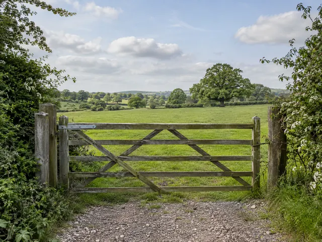 A timber gate opening onto green pasture